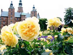 Jardim do Castelo de Rosenborg